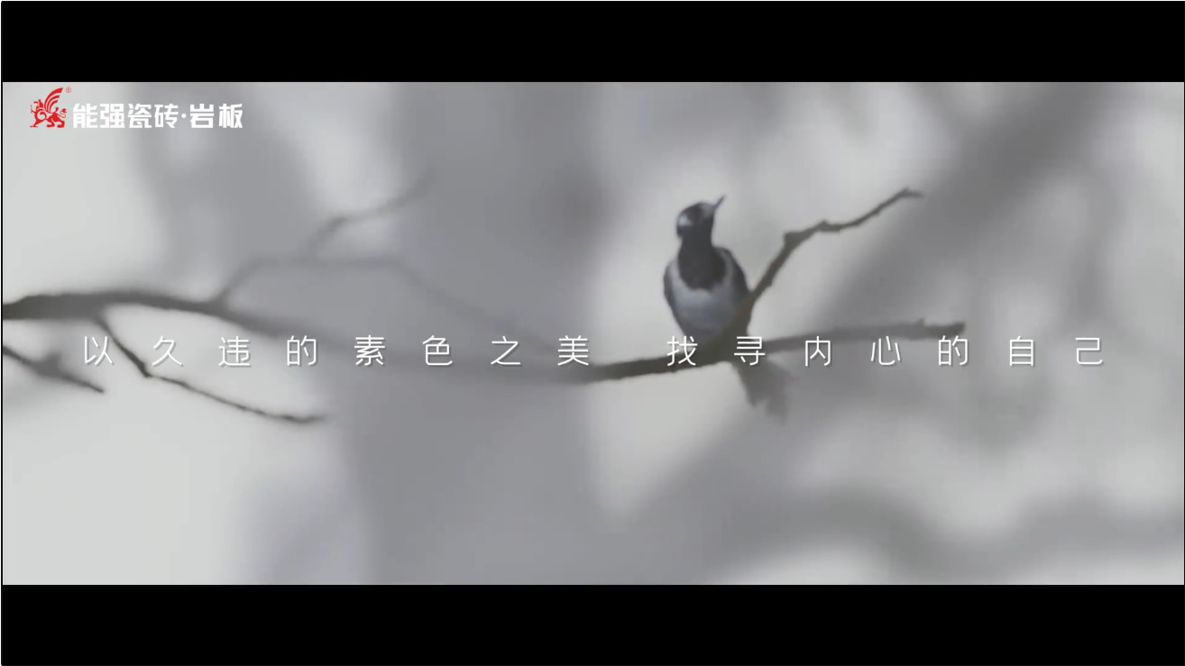 素巖系列 | 以素色之美，找尋內(nèi)心的自己